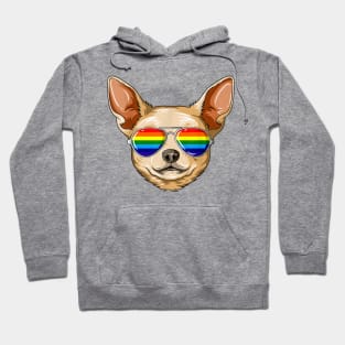 Chihuahua Wearing Rainbow LGBT Pride Flag Sunglasses Hoodie